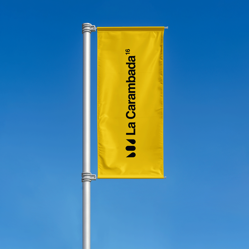 Thumbnail for La Carambada 16