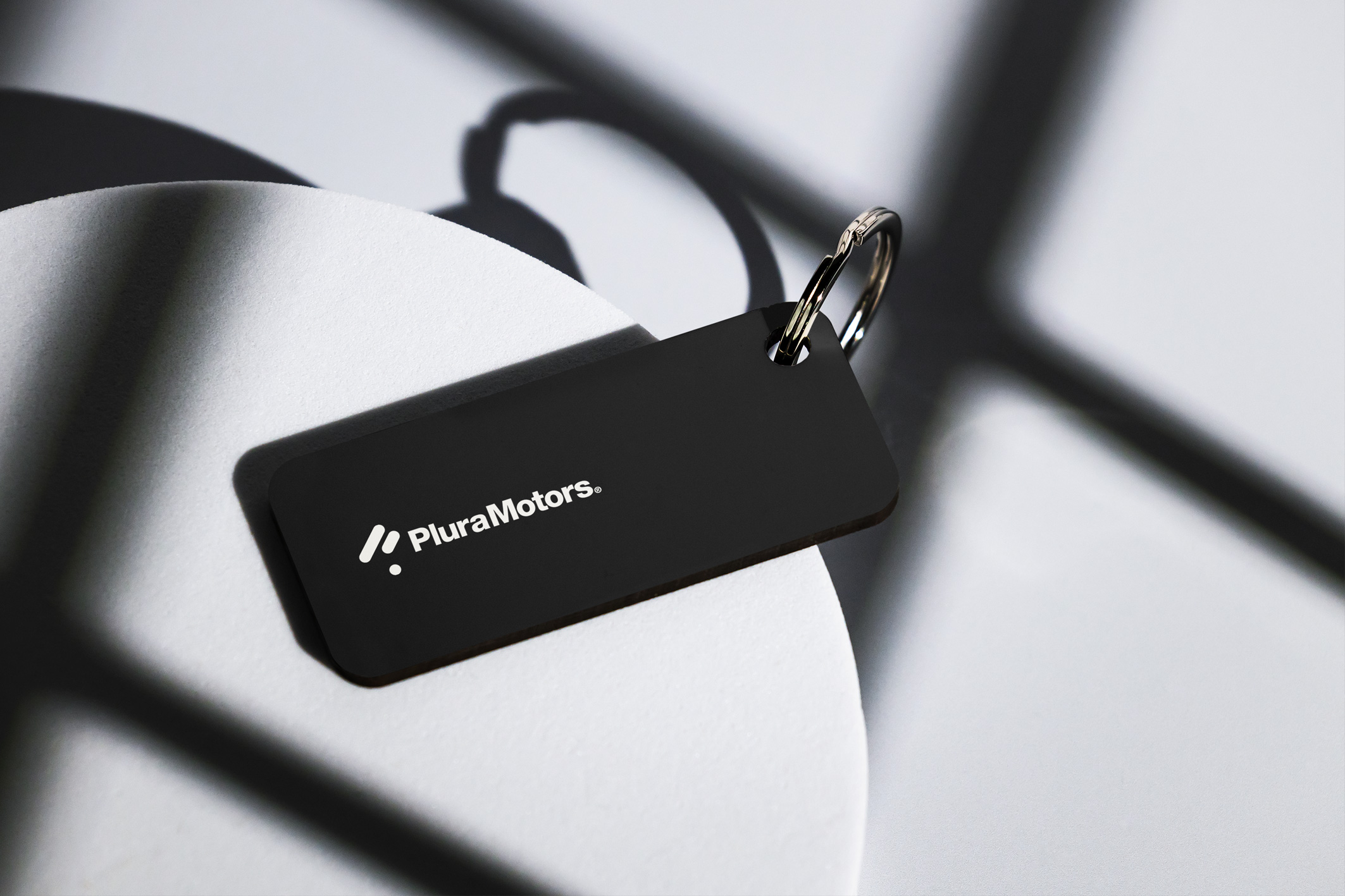 Plura Motors&reg;